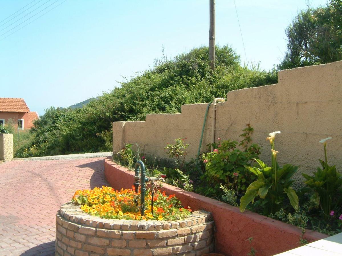 Angela Apartments Pool Gardens And Sea Views Agios Stefanos Avliotes  Dış mekan fotoğraf
